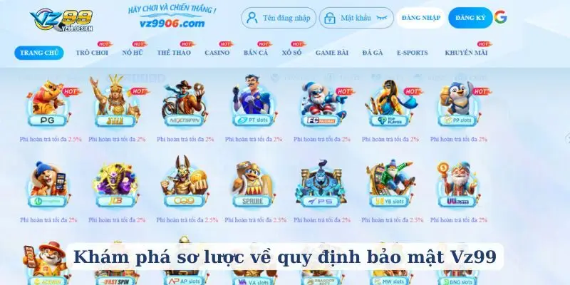 Khám phá sơ lược về quy định bảo mật Vz99