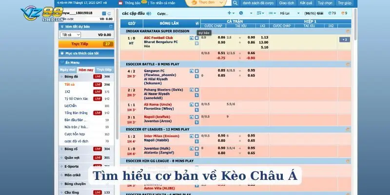 Tìm hiểu cơ bản về Kèo Châu Á