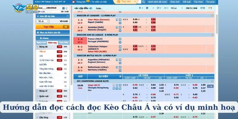 Hướng dẫn đọc cách đọc Kèo Châu Á và có ví dụ minh hoạ